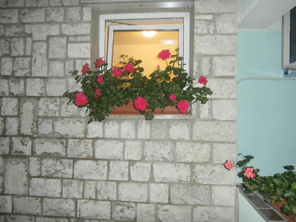Apartment Gabi Labin (Istria) Exterior foto