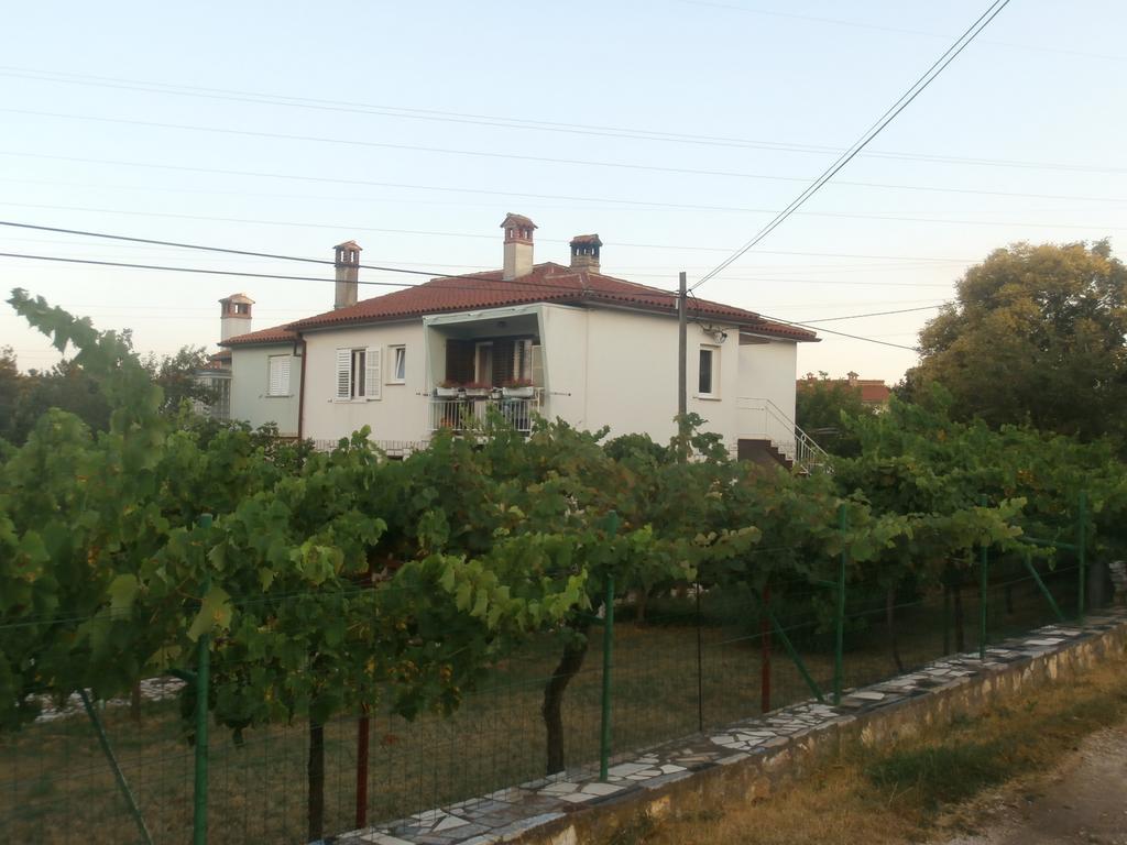 Apartment Gabi Labin (Istria) Exterior foto